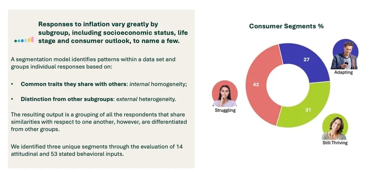 inflation report slide slide from the report about different types of consumers
