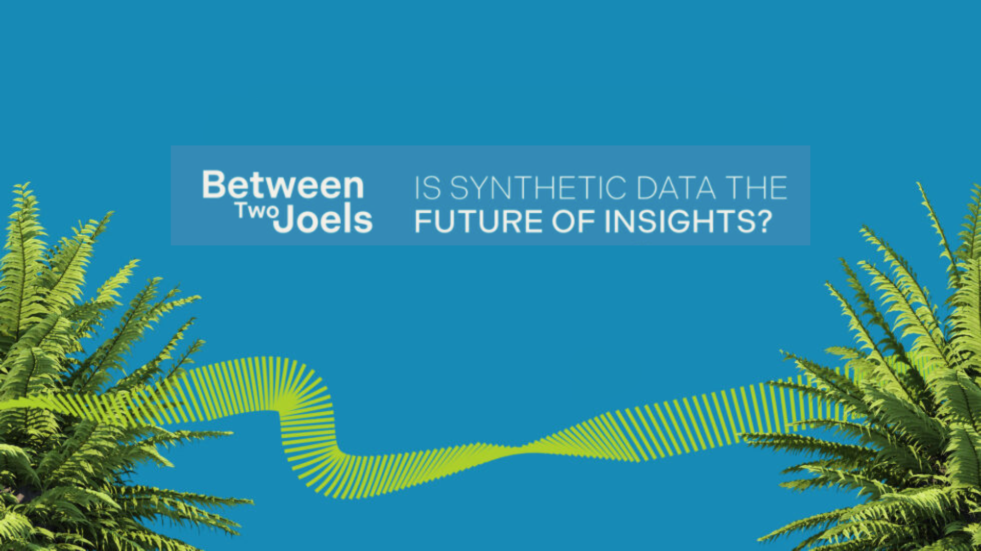 Between Two Joels: Is synthetic data the future of insights? (Lunch & Learn edition)