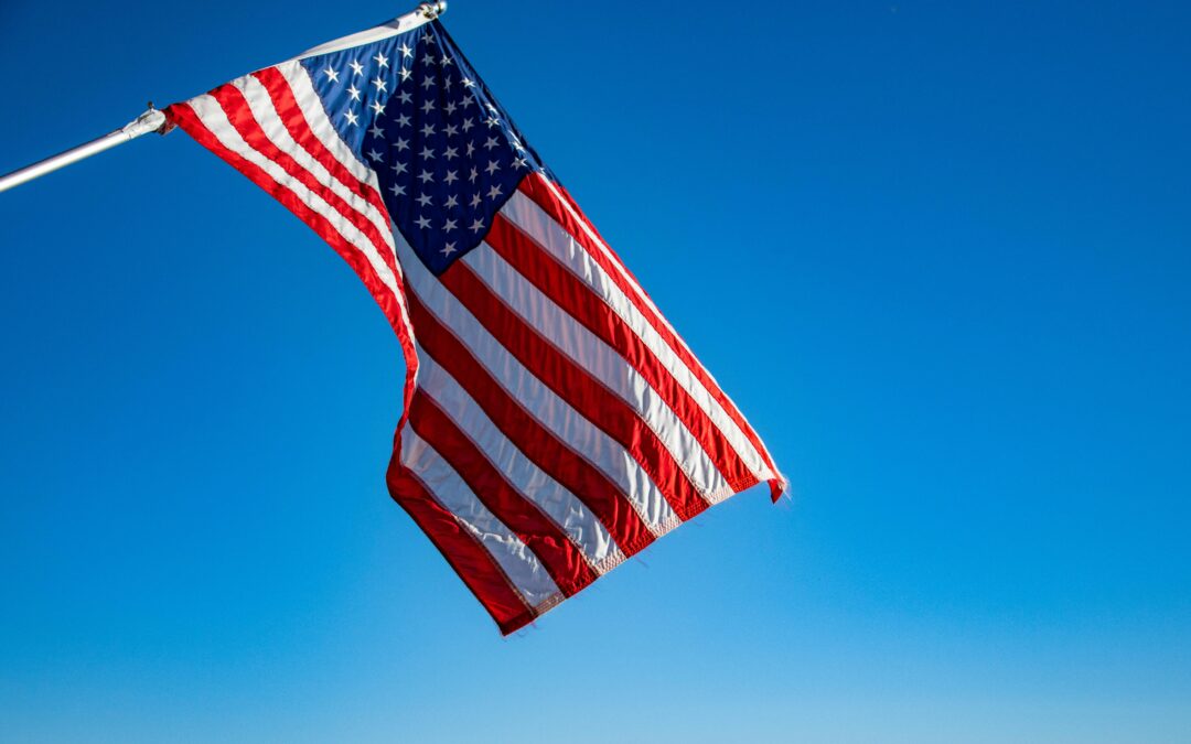 Top 15 Market Research Companies in the US (2025)